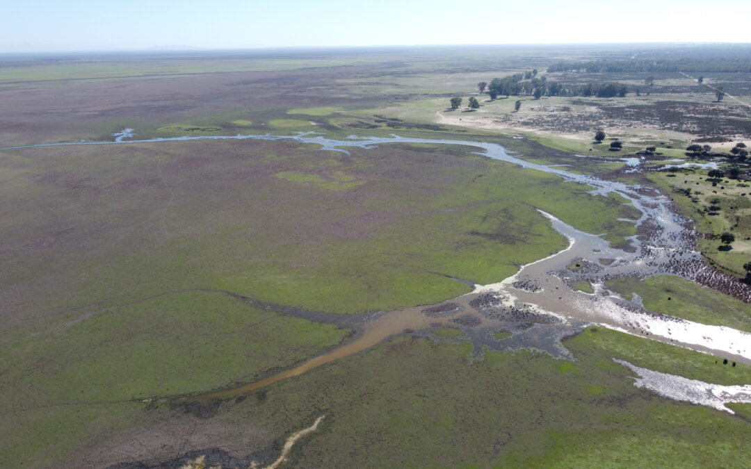 Las lluvias de las últimas semanas dejan una inundación de sólo el 1,8 % de la marisma de Doñana