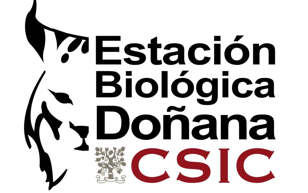 Los murciélagos son claves en el control de plagas en la agricultura