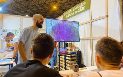 El CSIC lleva ciencia interactiva a la Feria de la Ciencia de Sevilla