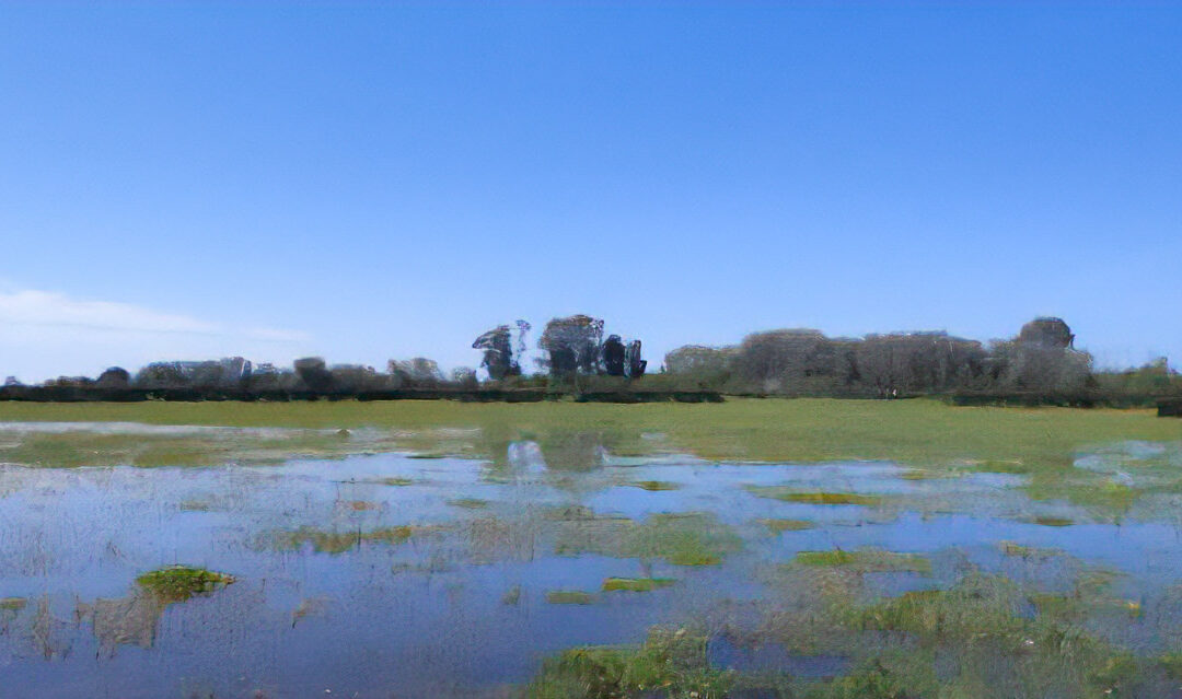 Las últimas lluvias alivian Doñana, pero se necesitan más precipitaciones esta primavera