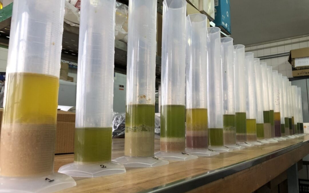 Desarrollan un método rápido y consistente para determinar la estabilidad oxidativa y composición acídica del aceite de oliva