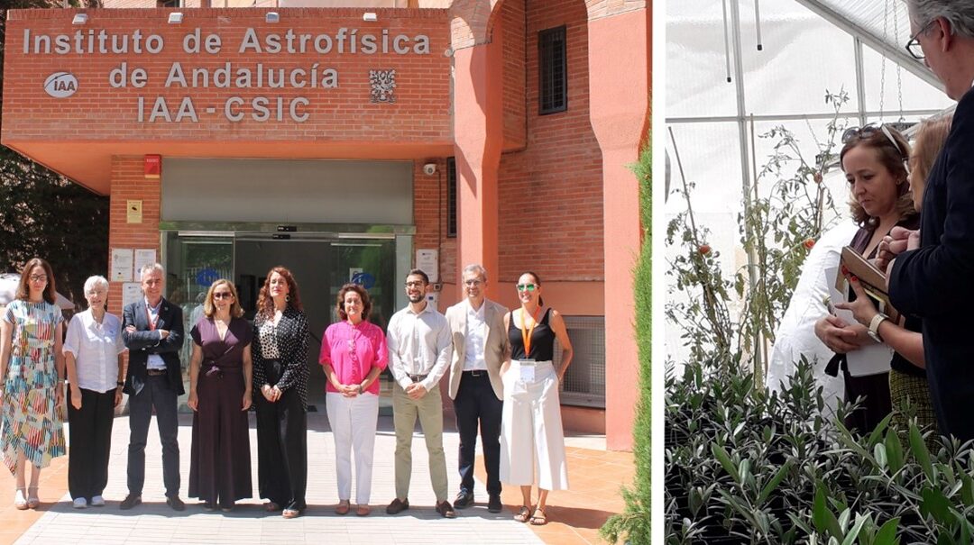La presidenta del CSIC destaca «la buena salud de la investigación en ciencias del espacio en España»