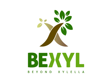Expertos internacionales dan a conocer los avances en la lucha contra la Xylella fastidiosa