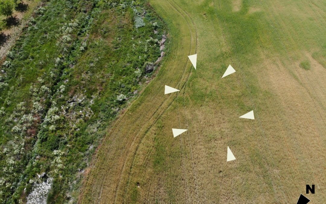 Arqueólogos del IAM identifican un nuevo lugar de culto cristiano en el Valle del Duero