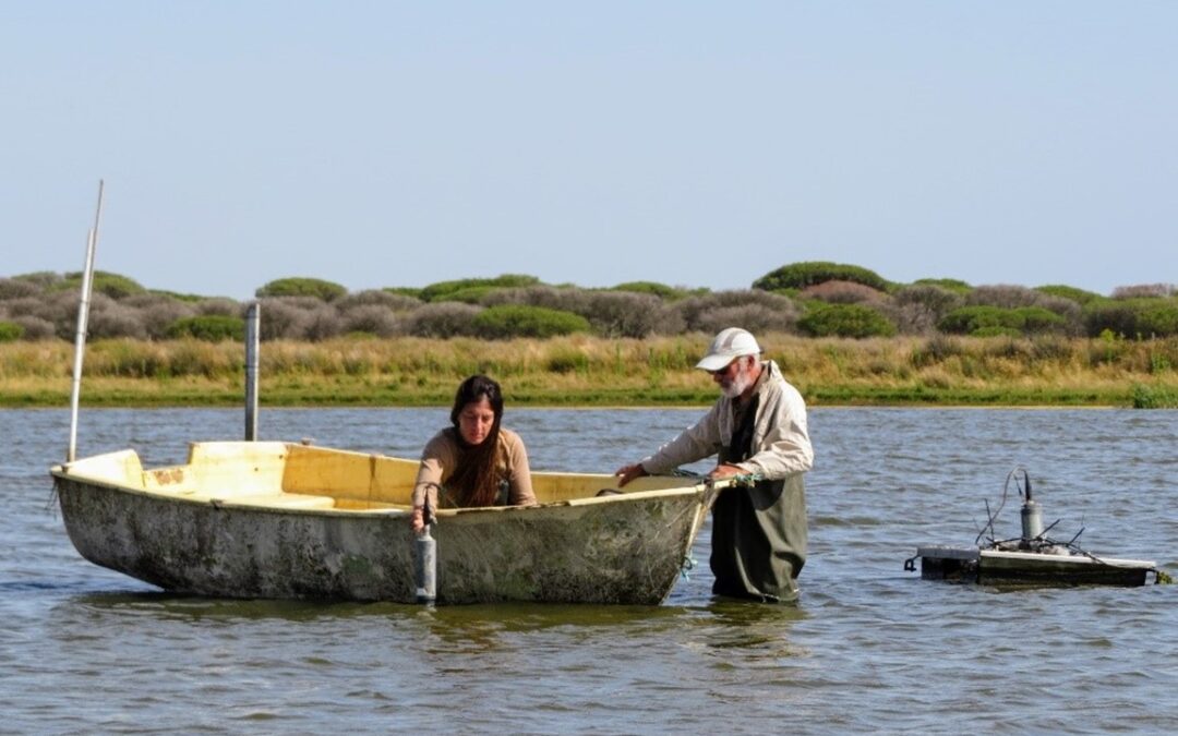 Informe del Estado de la Biodiversidad en Doñana 2024: un año seco, con altas temperaturas y nuevo mínimo histórico de aves acuáticas invernantes