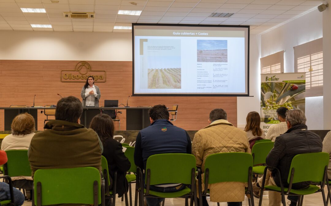 Investigadores del IAS-CSIC coordinan la edición de una guía de apoyo a la toma de decisiones para implantación de cubiertas vegetales en olivar