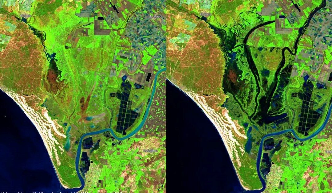 Doñana recoge 300 mm de lluvias desde septiembre, pero se tendrían que suceder años húmedos para compensar el déficit hídrico actual