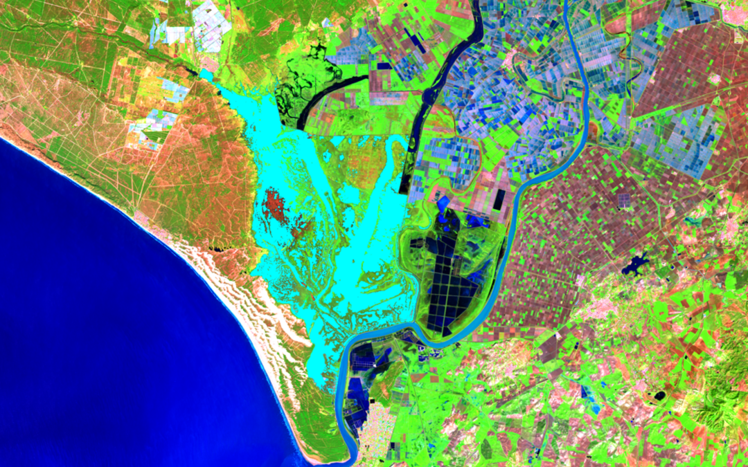 La teledetección, una herramienta clave para monitorizar y evaluar la salud de los ecosistemas de Doñana